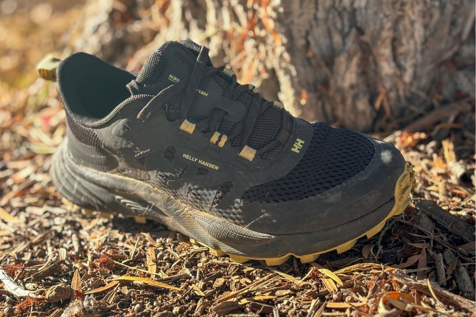 Helly Hansen Trail Wizard Review: Wizard in Training