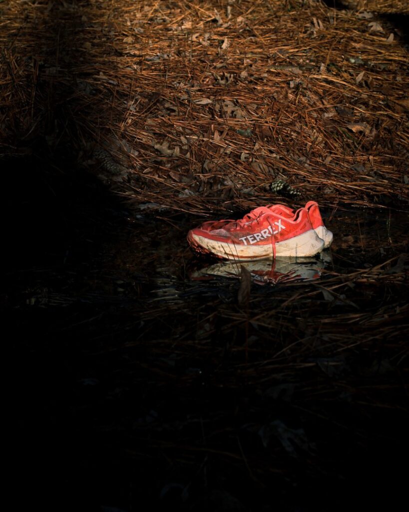 Adidas Terrex Agravic Speed Ultra - in puddle