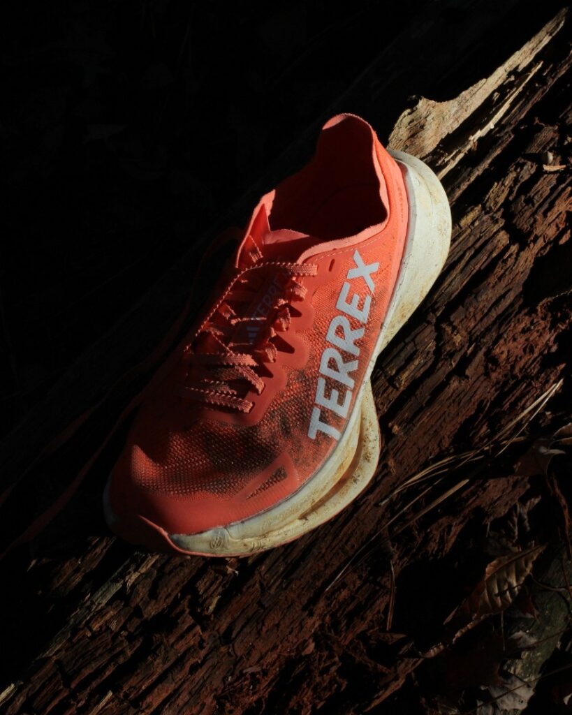 Adidas Terrex Agravic Speed Ultra - one shoe on log