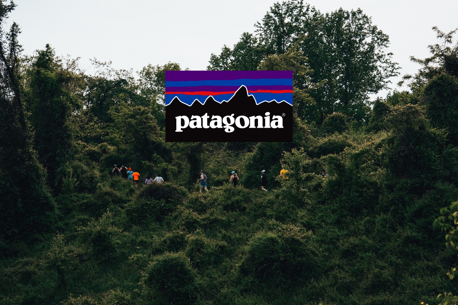 Our Patagonia Running Picks for Spring 2024