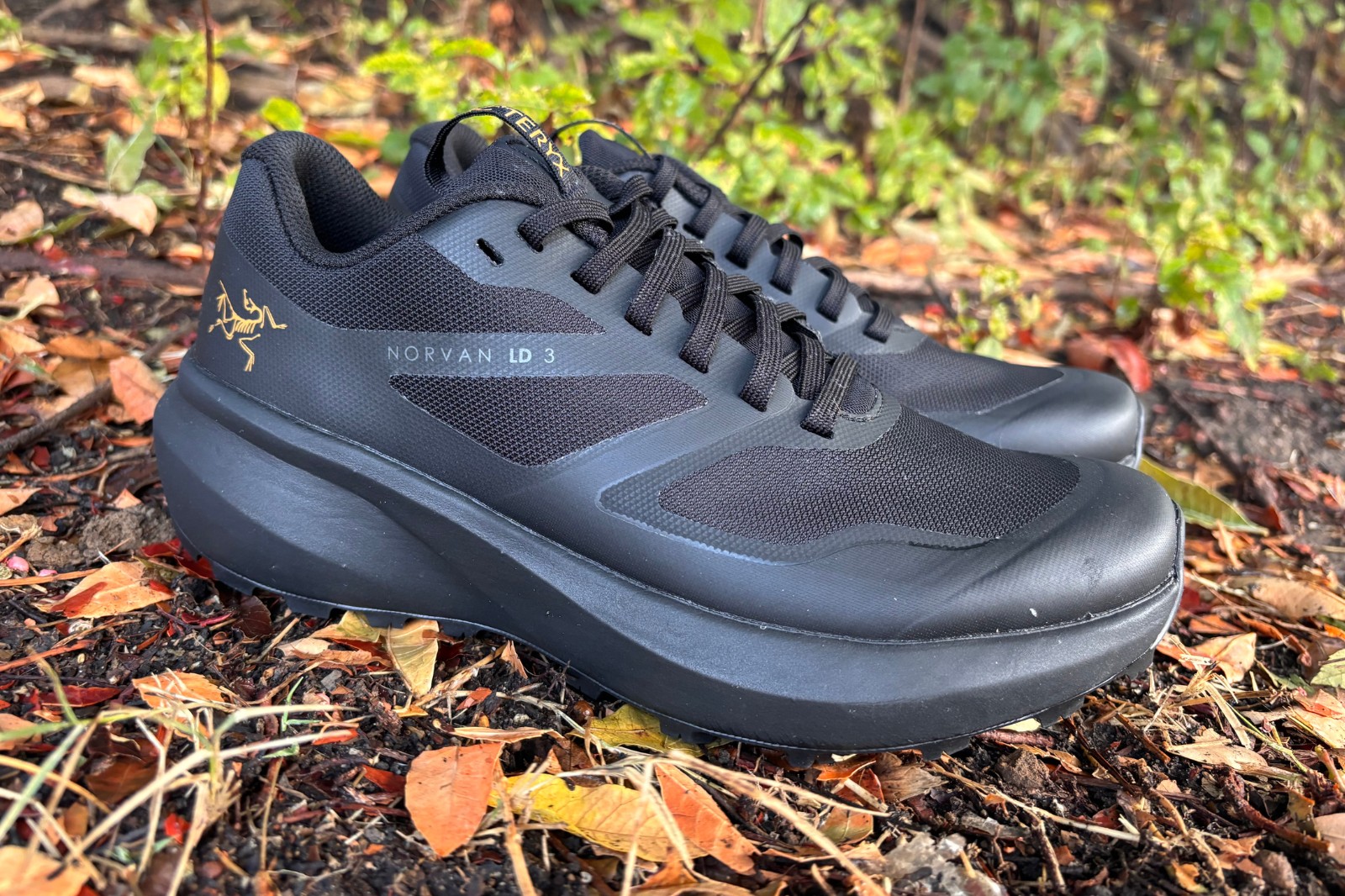 Arc'teryx Norvan LD 3 Review: Ready For Six More Weeks of Arc'teryx Norvan LD 3 Review: Ready For Six More Weeks of