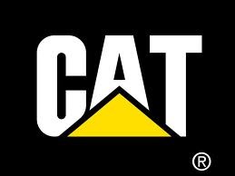 logo cat