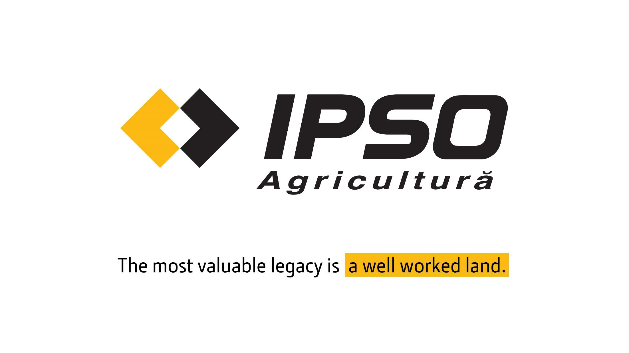 Ipso Logo