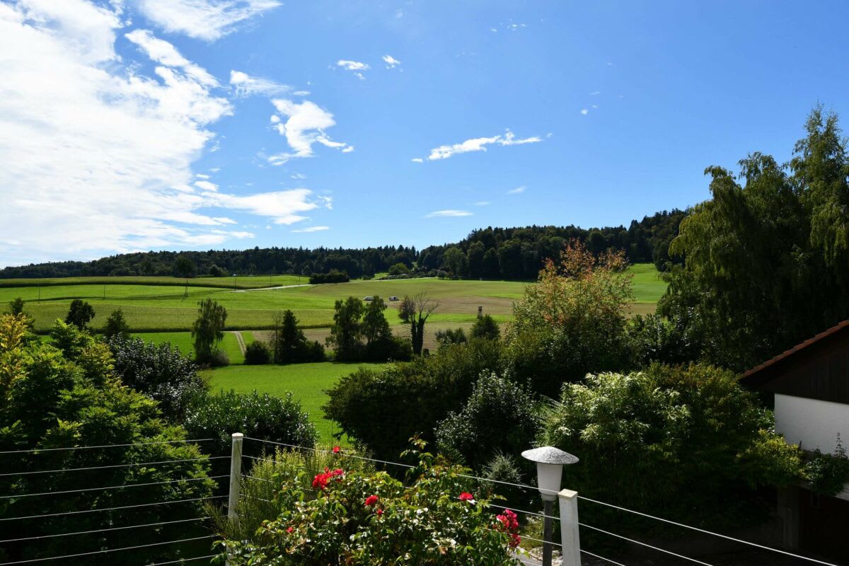 5½ Rooms Haus in 8174 Stadel b. Niederglatt  – Property Market by comparis.ch