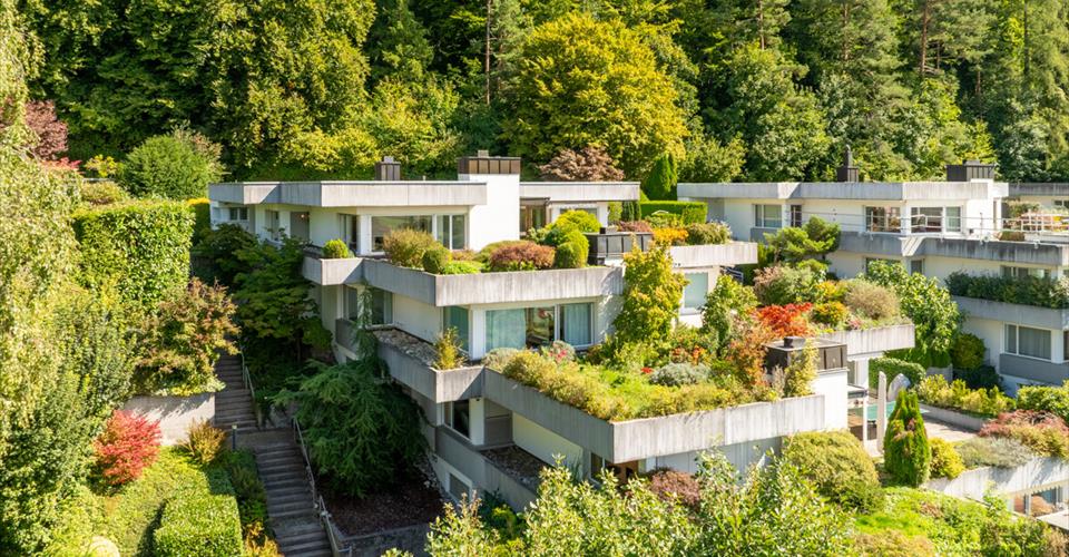 Wettswil : spacieuse maison mitoyenne avec vision et potentiel