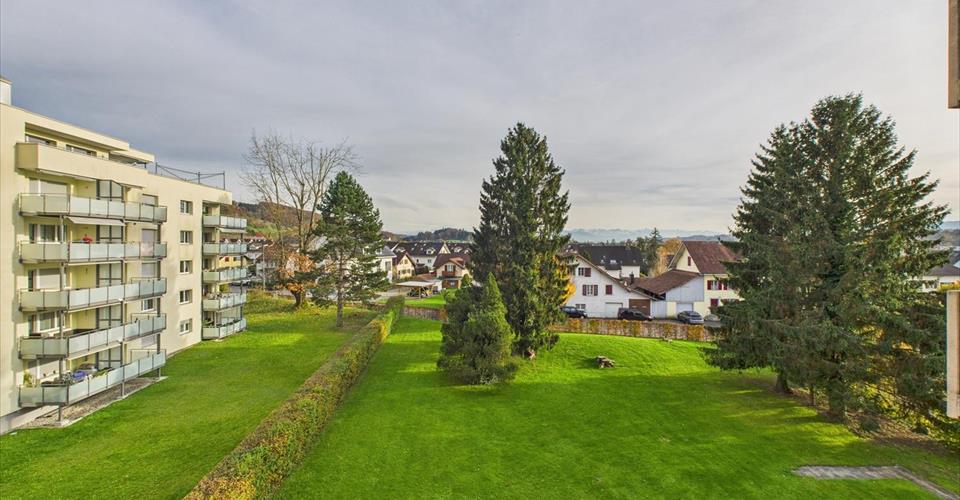 Appartement moderne de 3,5 pièces entièrement rénové avec une vue magnifique sur les Alpes. *Parking inclus dans le prix*