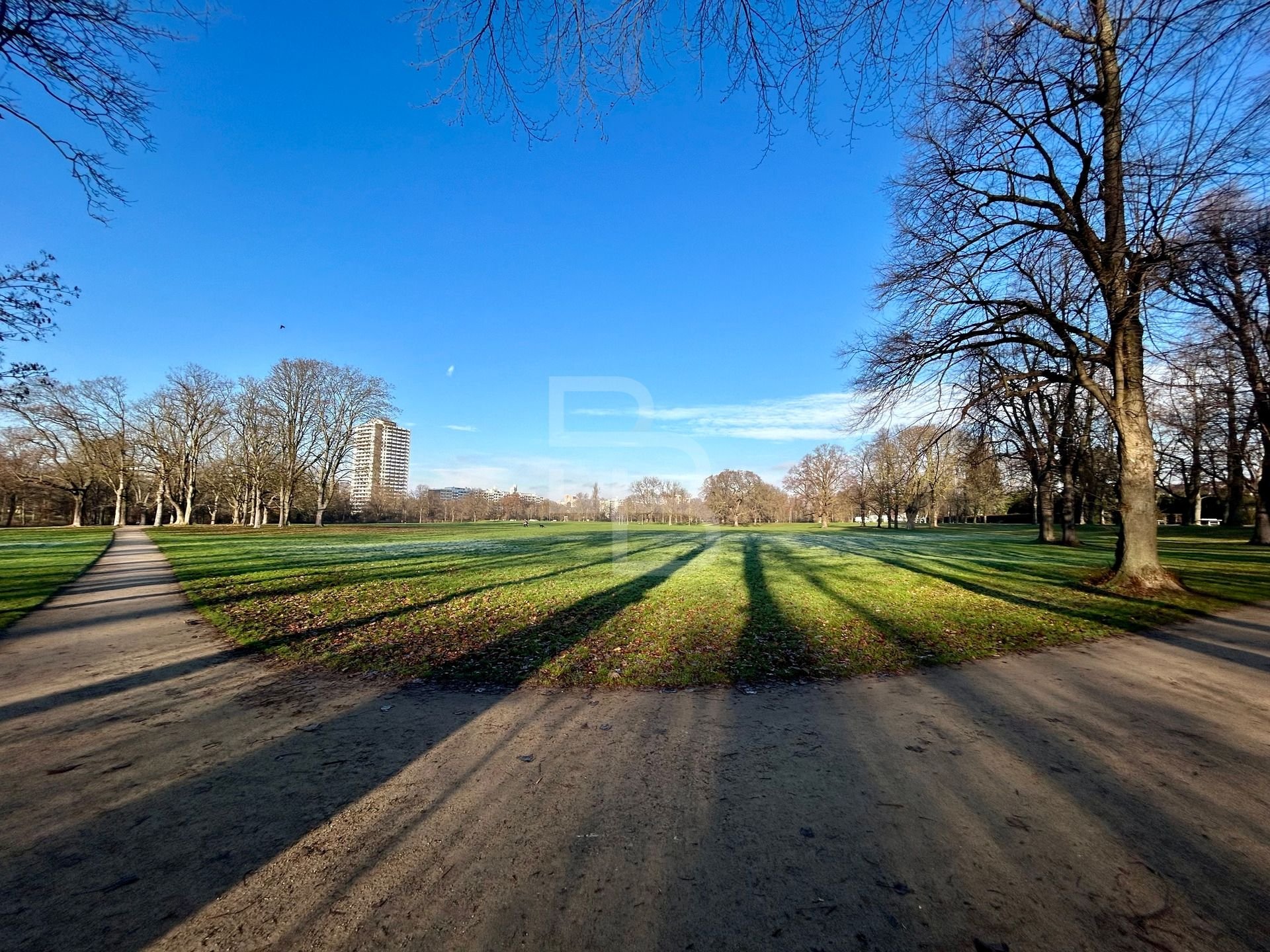 Bild 7: Mit Blick auf den Vorgebirgspark!