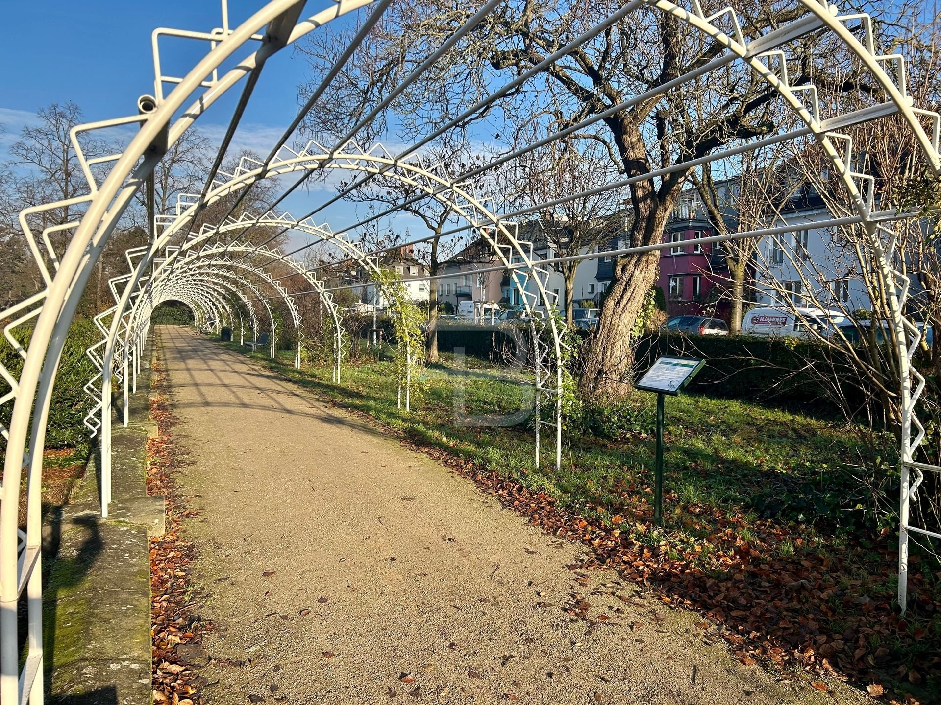 Bild 5: Mit Blick auf den Vorgebirgspark!