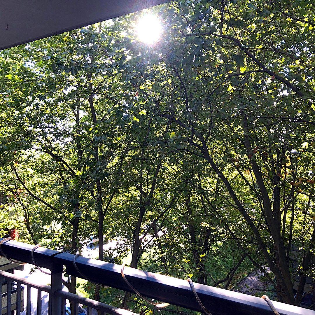 Bild 17: Ruhige komplett sanierte ETW-Wohnung mit 2 großen Balkonen und Blick ins Grüne