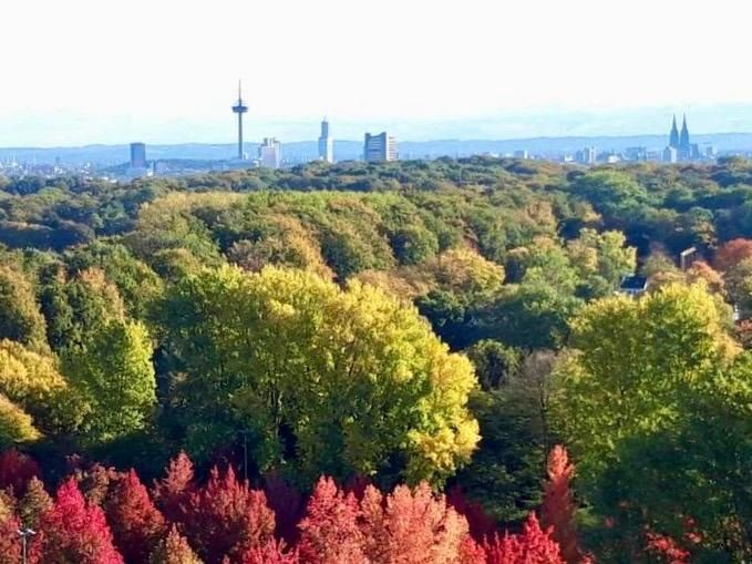 Bild 10: Helle und großzügige 4-Zimmerwohnung mit unverbaubarem und traumhaftem Fernblick in K-Junkersdorf