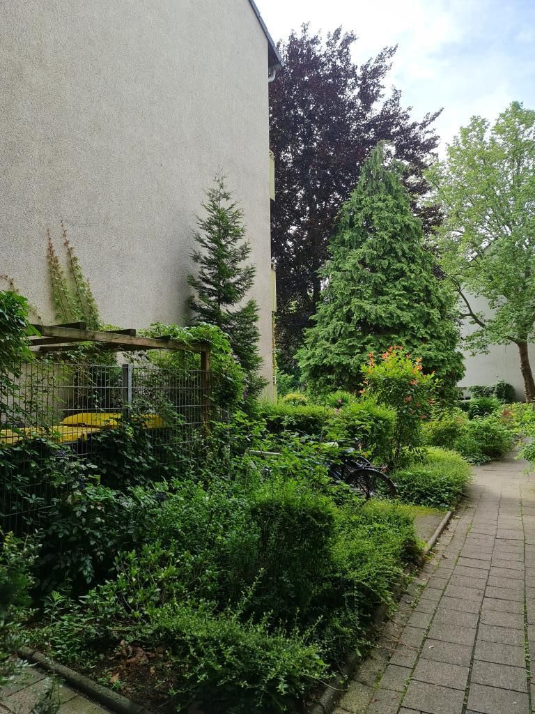 Bild 5: Gut vermietete Eigentumswohnung mit Balkon in Braunsfeld - provisionsfrei