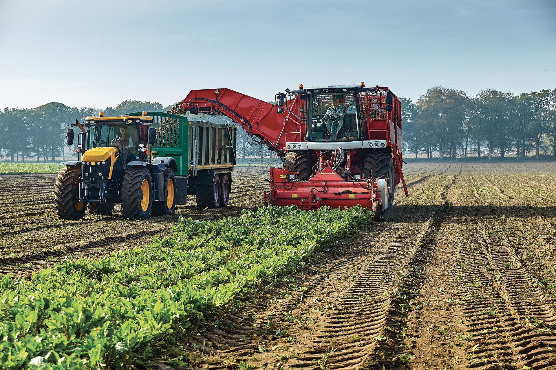 Application image of AGRIMAX TERIS