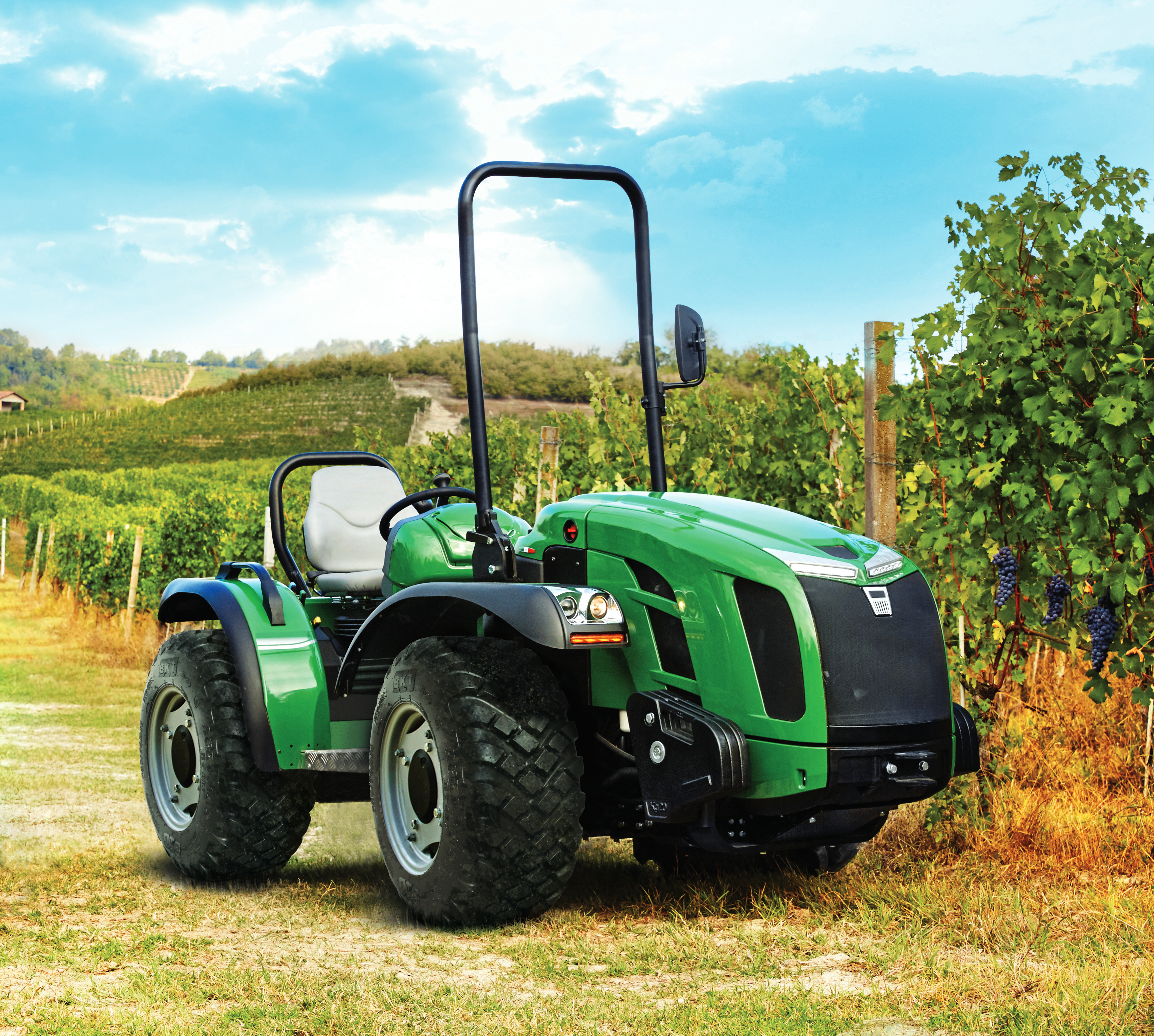 Application image of AGRIMAX TURF RT 333