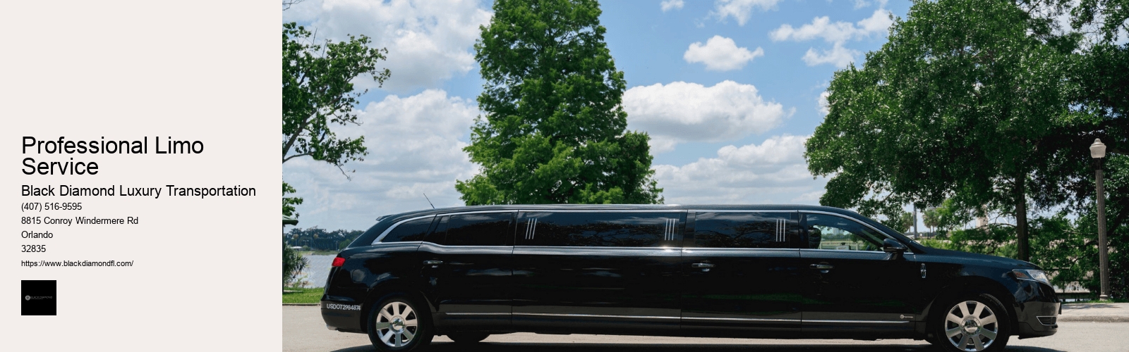 Professional Limo Service
