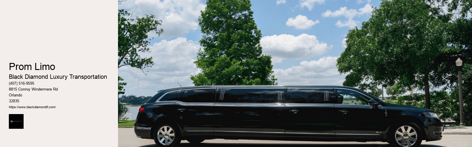 Prom Limo