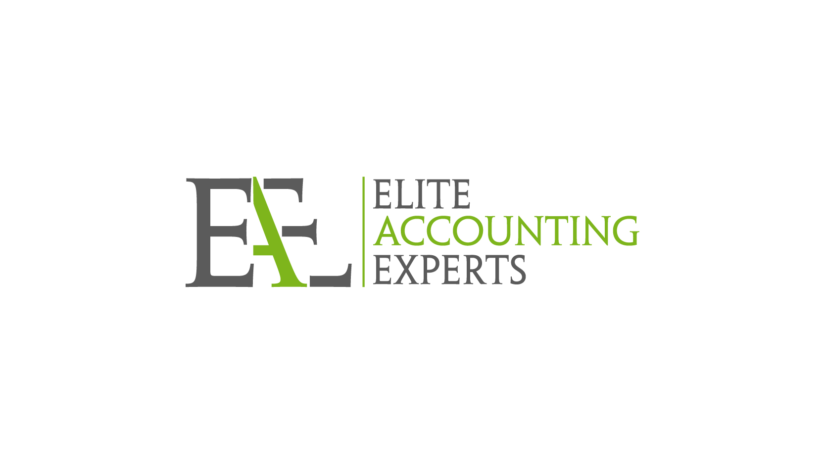 Elite Accounting Experts