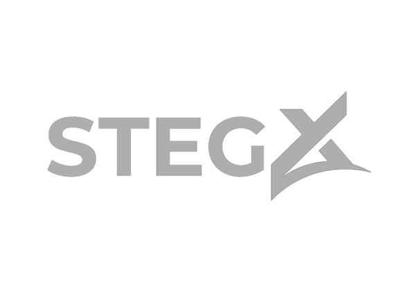 StegX Finance