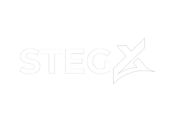 StegX Finance
