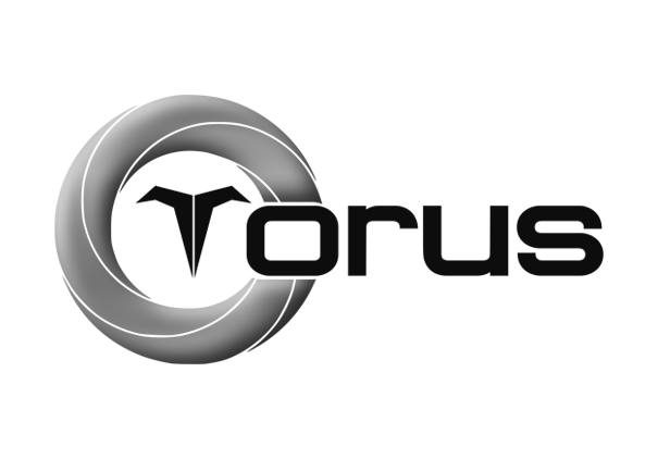 Torus Chain