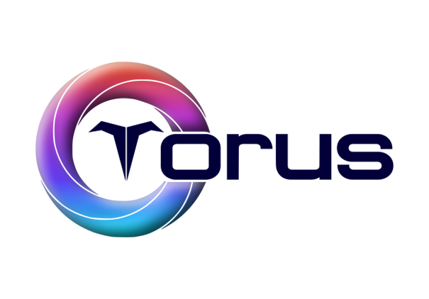 Torus Chain