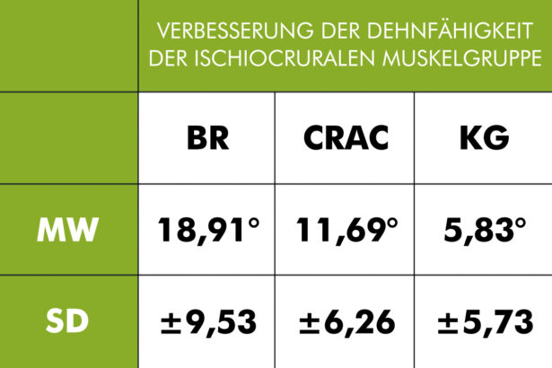 Studie Dehnen