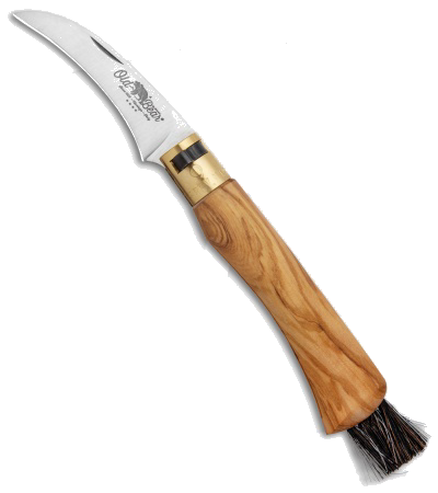 product image for Antonini Old Bear Medium Olive Wood Folding Knife