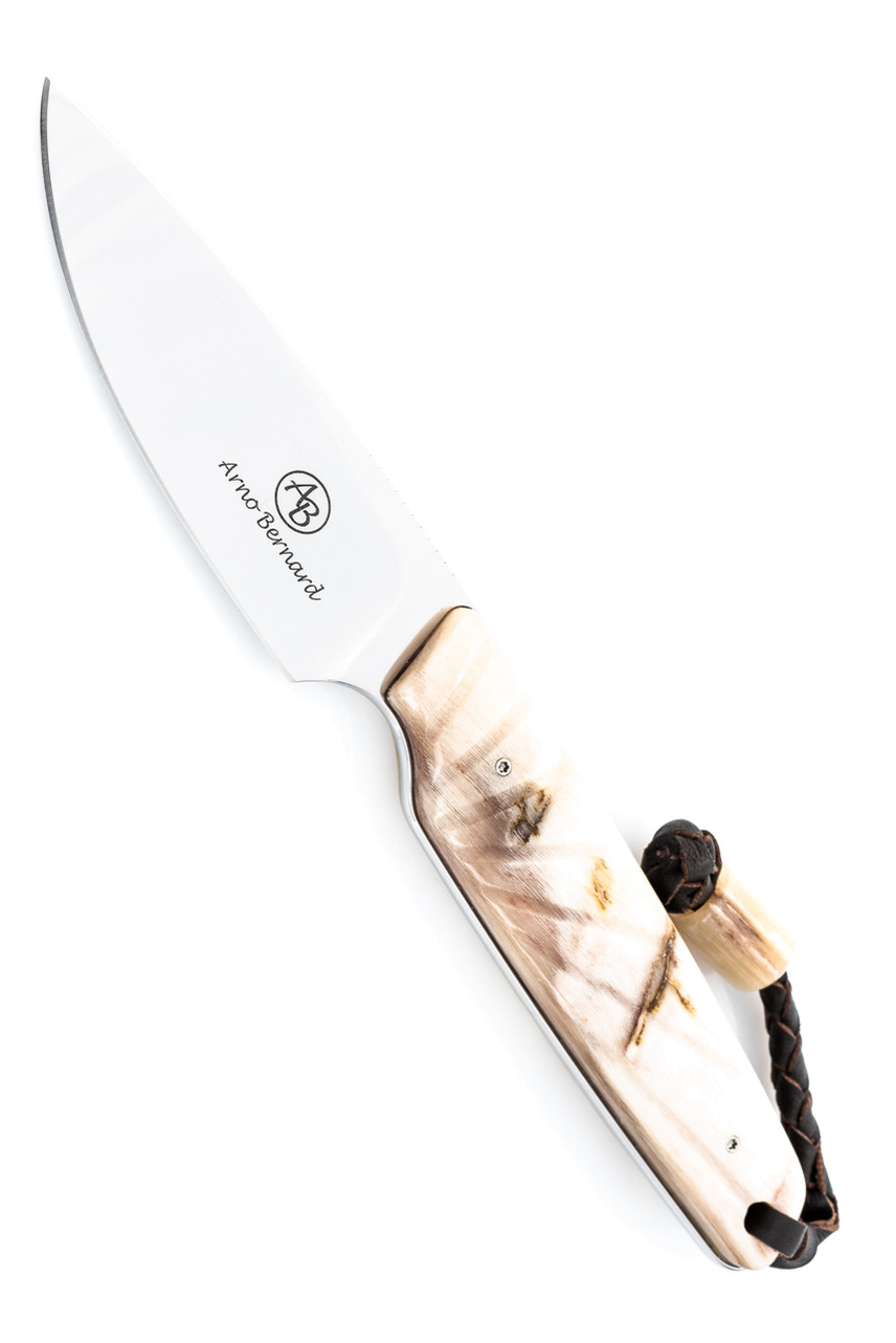 product image for Arno Bernard Bongo 7404 Sheep Horn Fixed Blade Knife