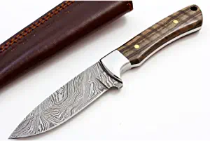 product image for BucknBear Drop Point Classic Hunter Damascus Steel Fixed Blade Knife with Wood Handle