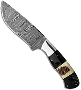 product image for BucknBear Cowboy Hunter Damascus Steel Fixed Blade Knife with G10 and Stag Handle
