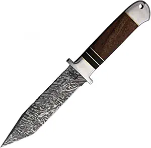 product image for BucknBear Burl Wood Damascus Steel Tanto Fighter Knife