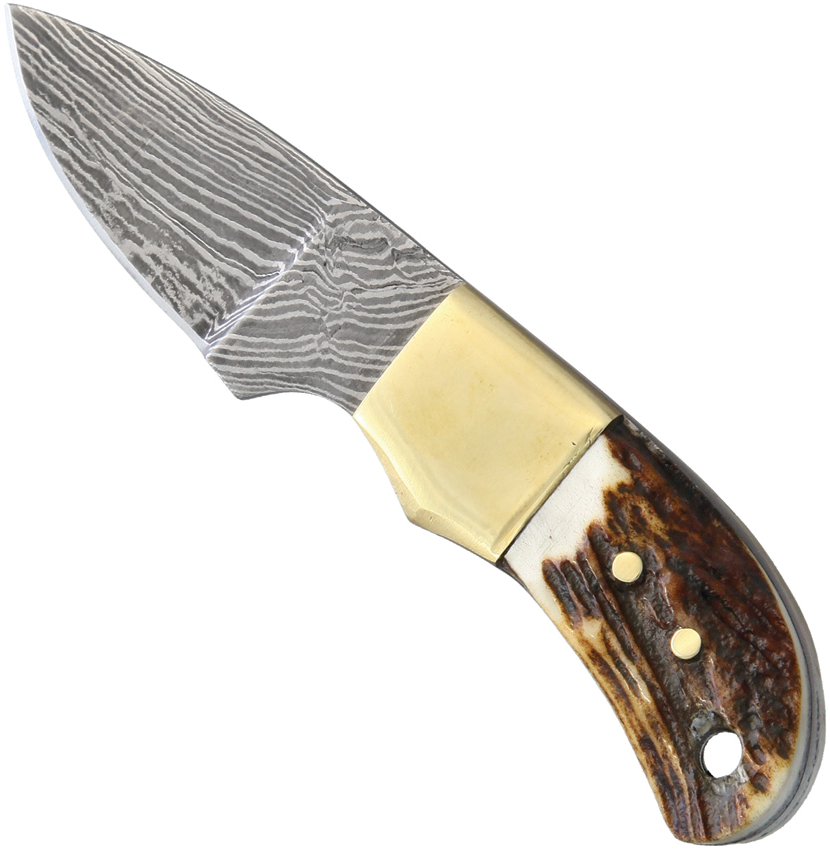 product image for Fox-N-Hound Mini Skinner Damascus 1.75" Blade Stag Bone Handle