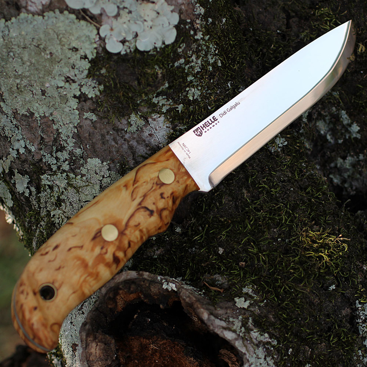 product image for Helle Didi Galgalu 1610 Fixed Blade