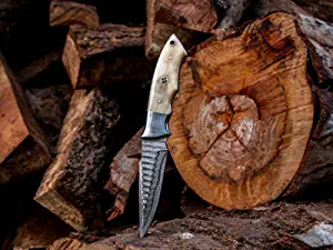product image for JNR Traders Damascus Skinner Knife Camel Bone Handle Vk 3739