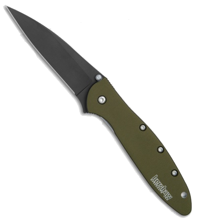 Kershaw Leek 1660OLBLK Assisted Opening Knife OD Green