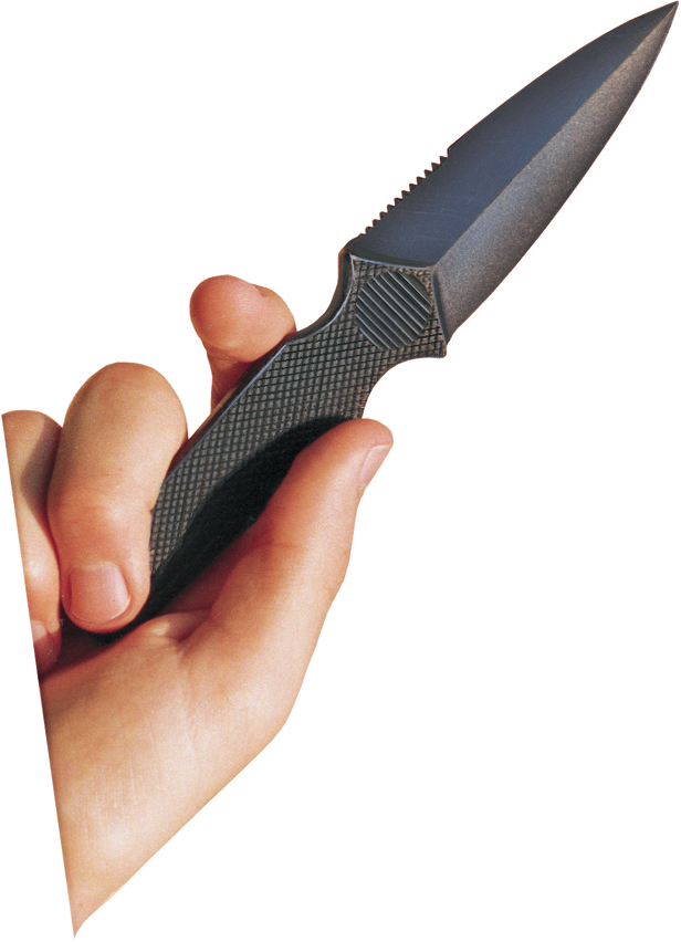 product image for Lansky Black LKNFE The Knife 3 5