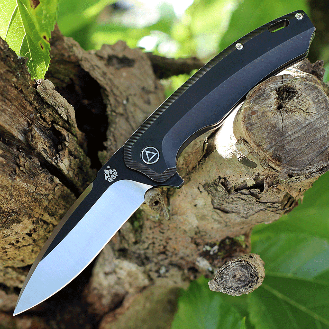 product image for QSP Knife Black Titanium Woodpecker QS116D 3.75" M390 Blade