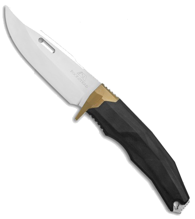 product image for Rockstead Ritsu ZDP-189 Mirror Polished Fixed Blade Wood/Micarta with Gold Titanium Bolster