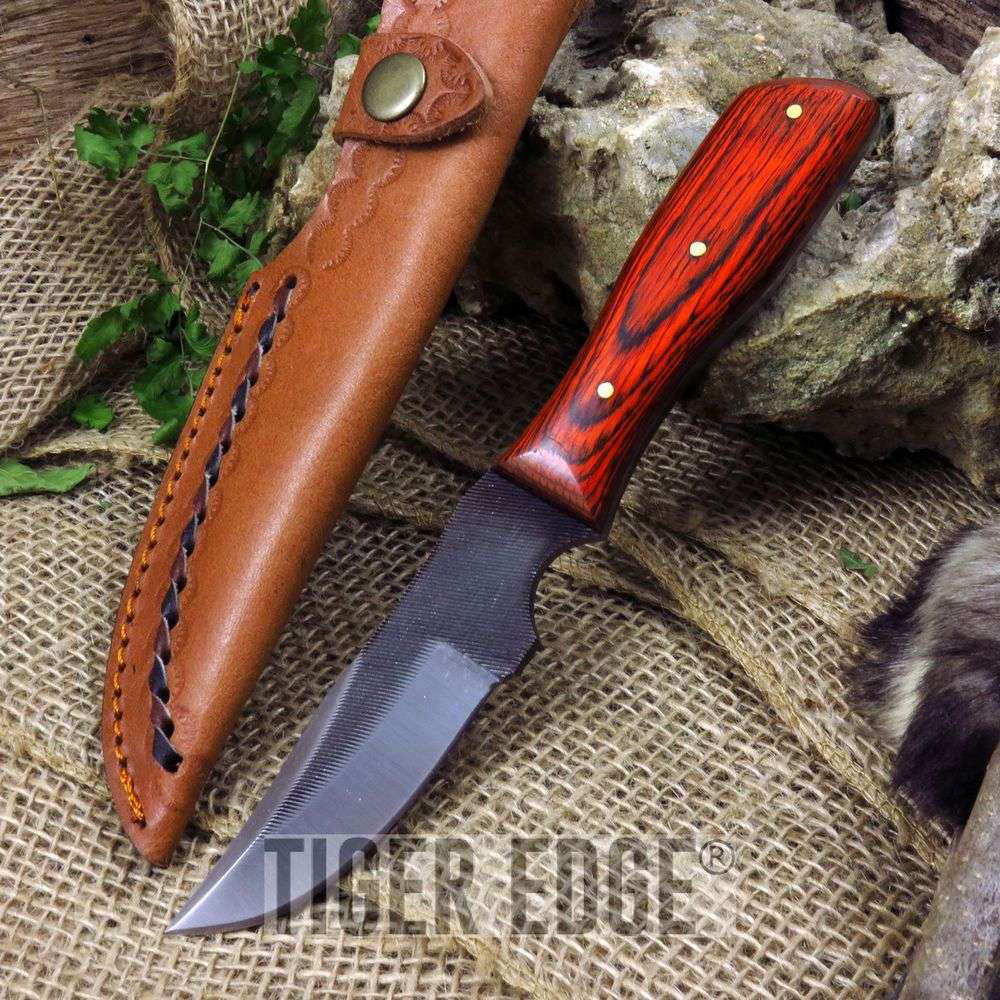 product image for Sawmill 8 3 8 Hunting Skinner Knife with Leather Sheath