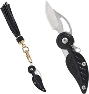 product image for SWBIYING Mini Pocket Knife Black
