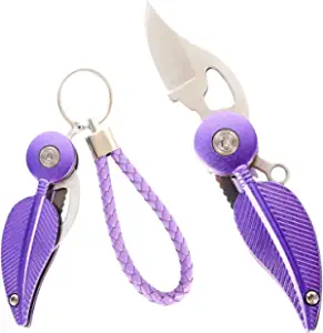 product image for SWBIYING Mini Pocket Knife Purple