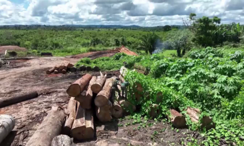 The new policies to protect the Amazon in Brazil