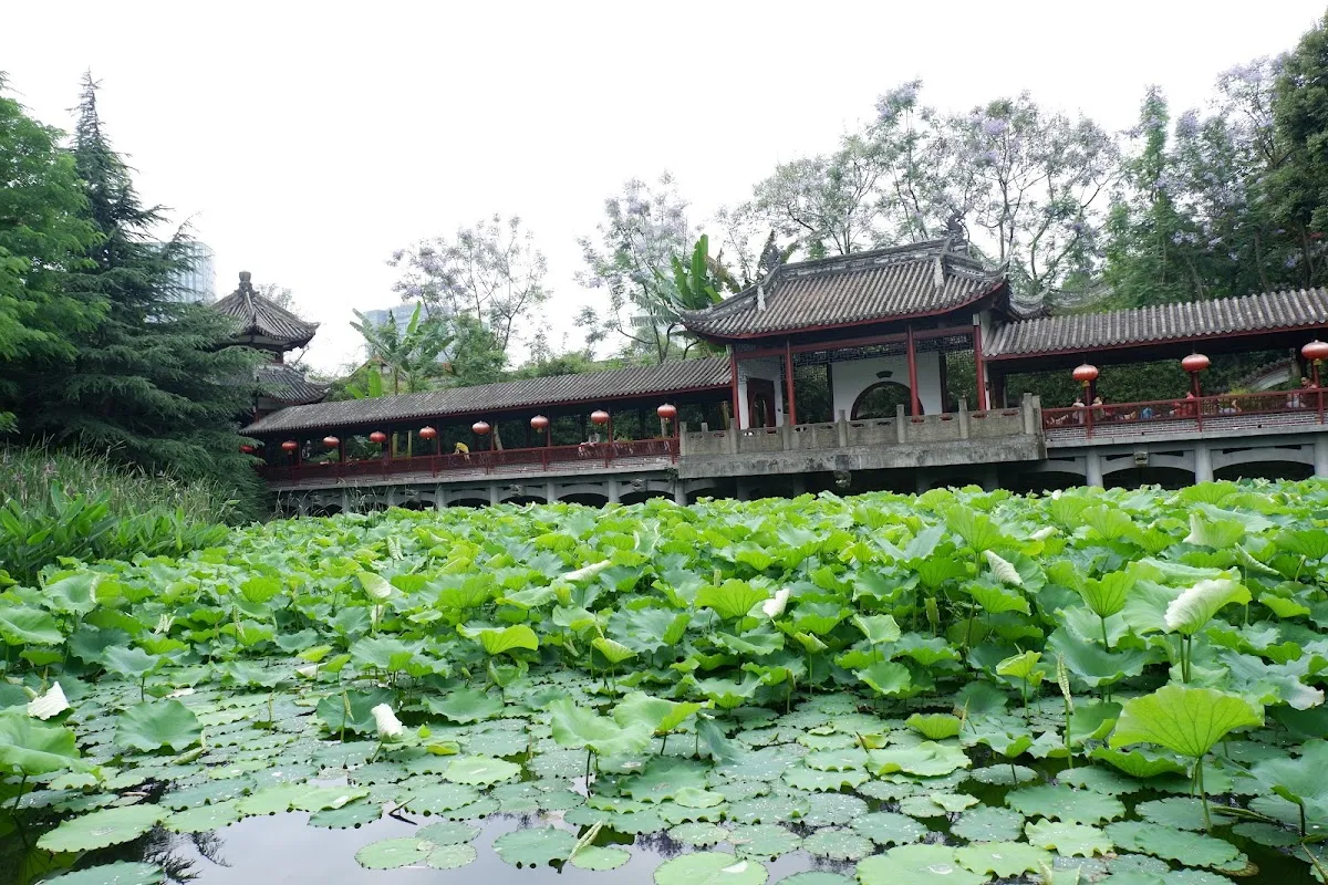 A Traditional Sichuan Cultural Workshop