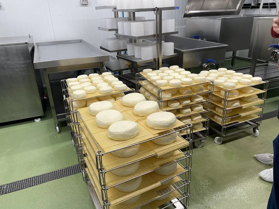 A Local Galician Wine or Cheese Tasting