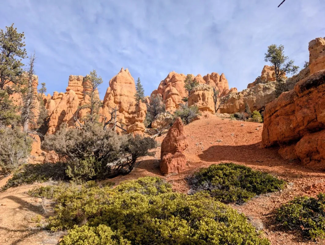 A Forested Mountain Scenic Drive