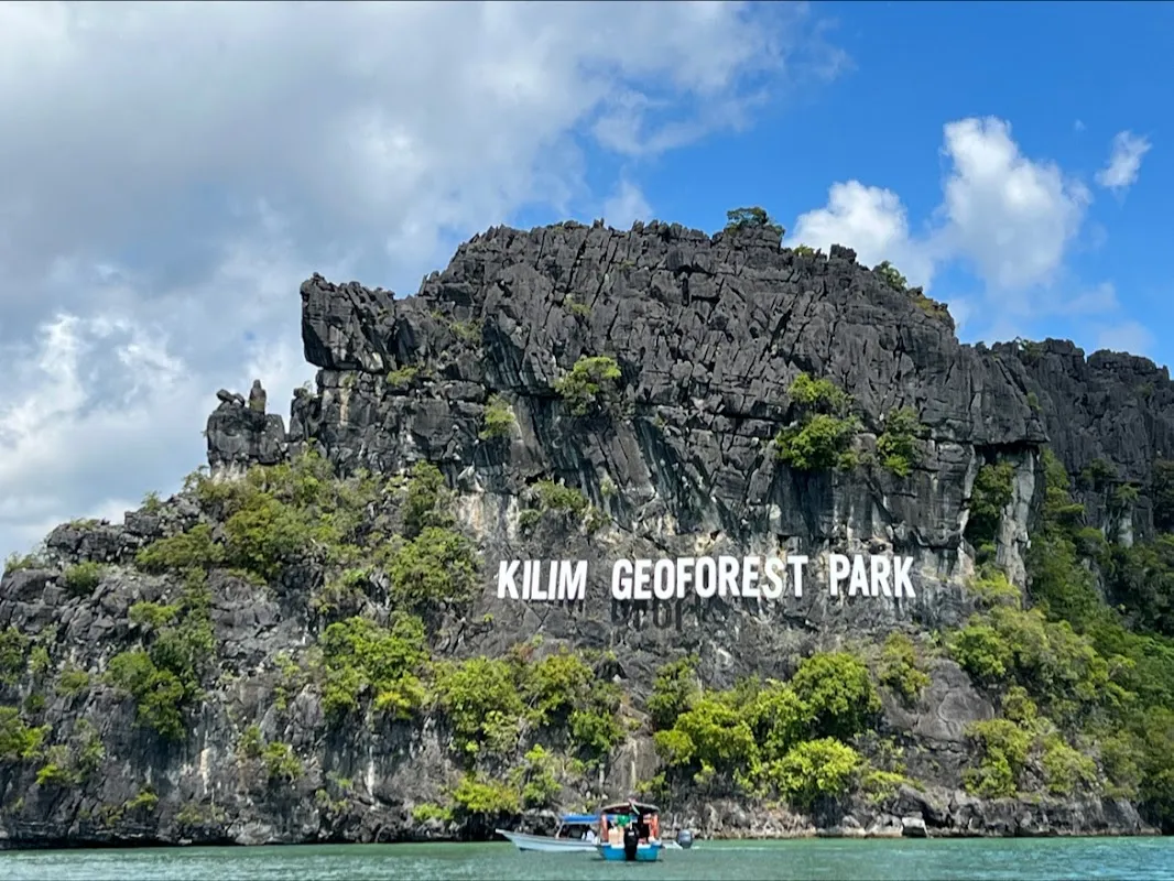 Mangrove & Wildlife Exploration
