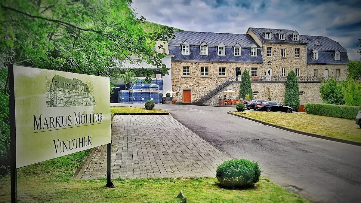 A Moselle Valley Wine Experience