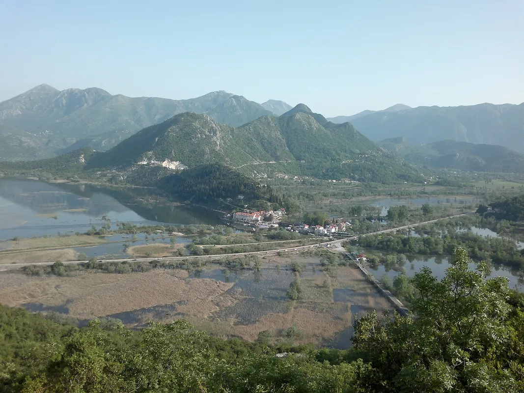 A Wildlife Spotting & Lake Cruise at Skadar Lake
