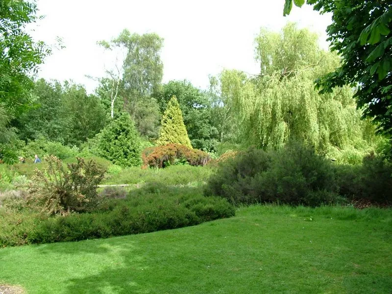 A Tranquil Urban Nature Escape