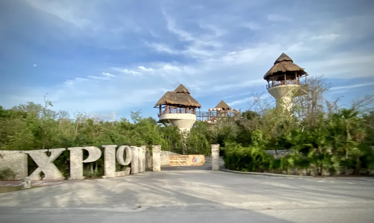 A Thrilling Jungle Adventure Park
