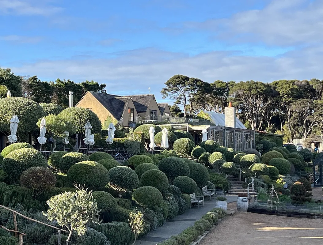 A Vineyard & Wine Tasting on Waiheke Island